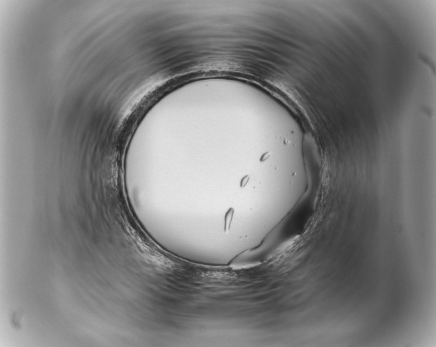 X0000102271115200808151858