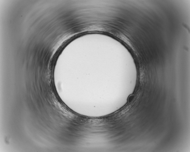 X0000102271116200808151858