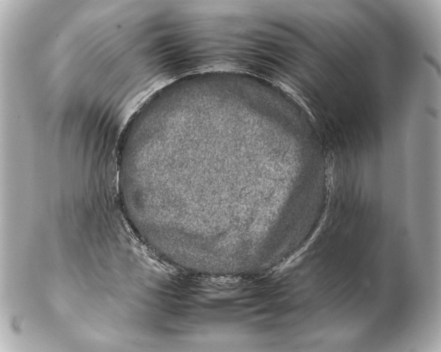 X0000102271117200808151858