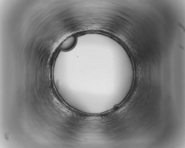 X0000102271118200808151858