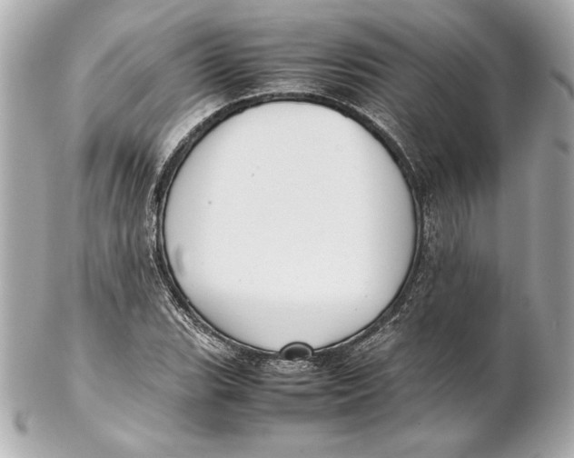 X0000102271119200808151858