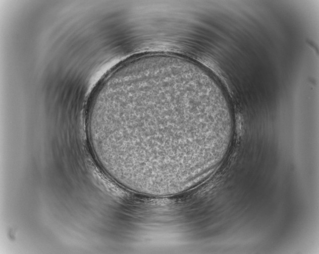 X0000102271120200808151858