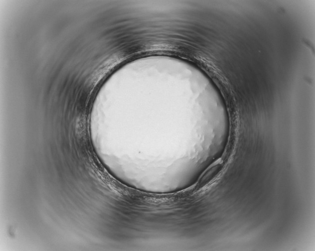 X0000102271121200808151858