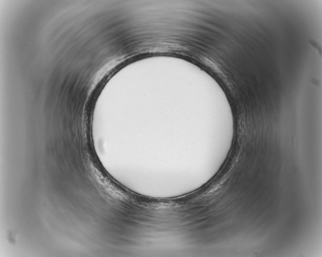 X0000102271122200808151858