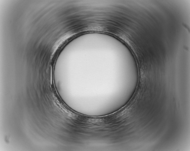 X0000102271123200808151858