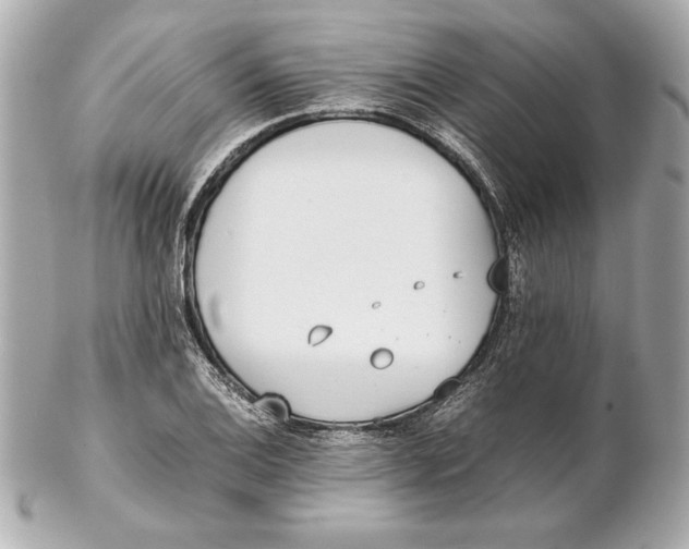 X0000102271124200808151858