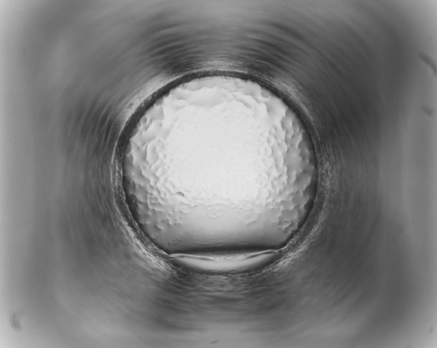 X0000102271125200808151858