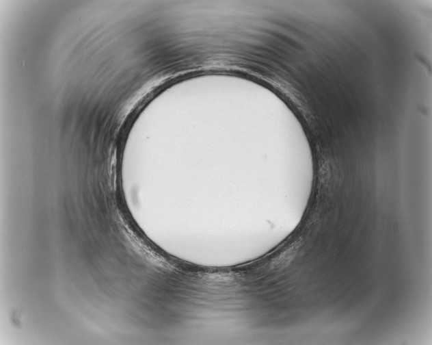 X0000102271126200808151858