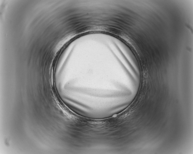 X0000102271127200808151858