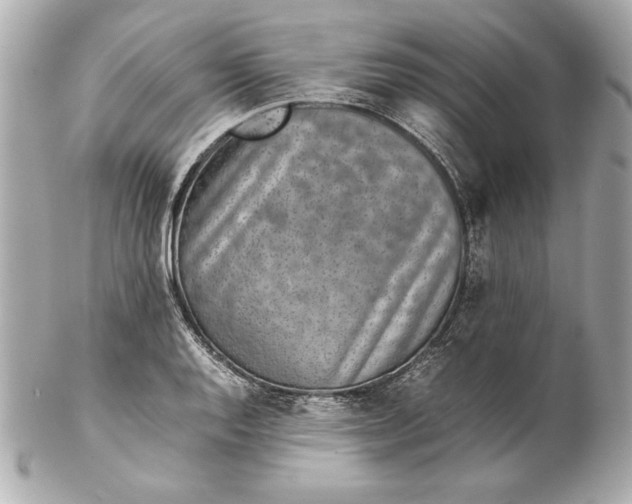 X0000102271128200808151858