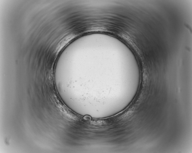 X0000102271129200808151858