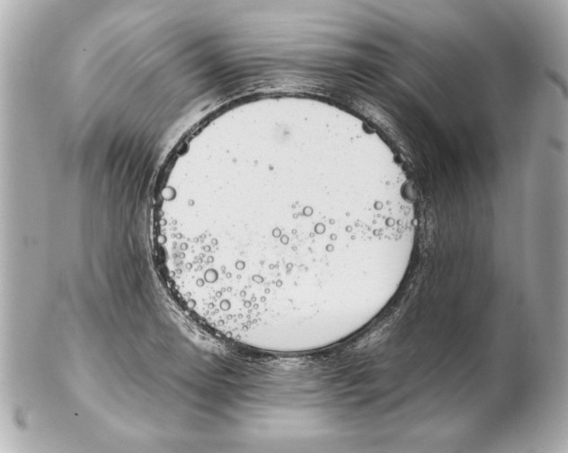 X0000102271130200808151858