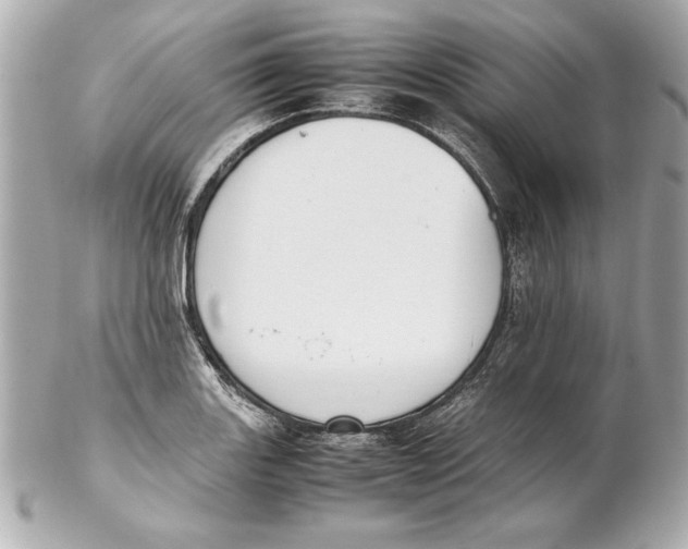 X0000102271131200808151858