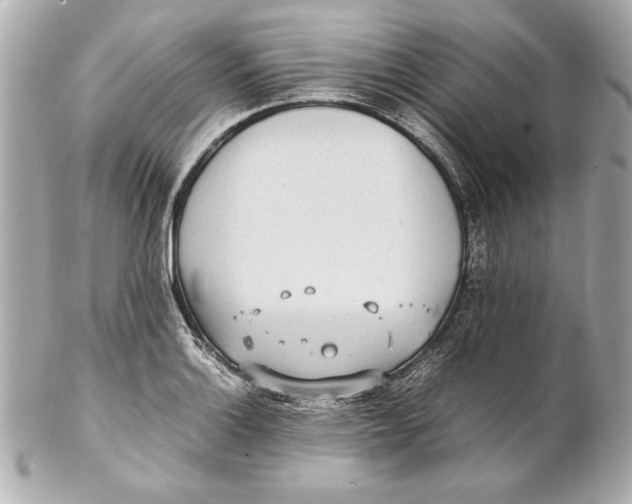 X0000102271132200808151858