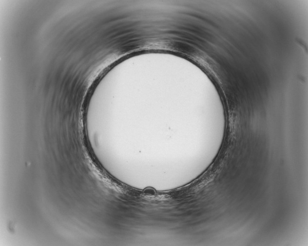 X0000102271133200808151858