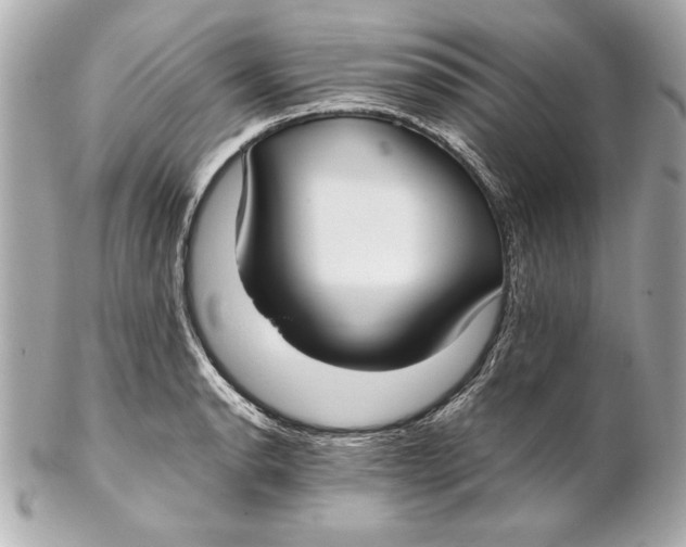 X0000102271134200808151858