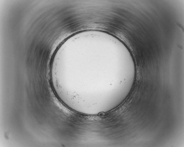 X0000102271136200808151858