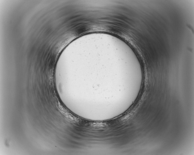 X0000102271137200808151858