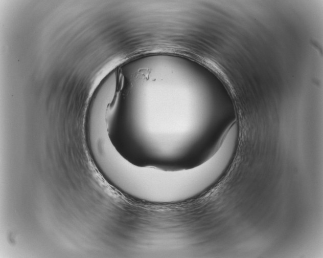 X0000102271138200808151858