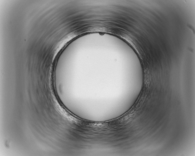 X0000102271139200808151858