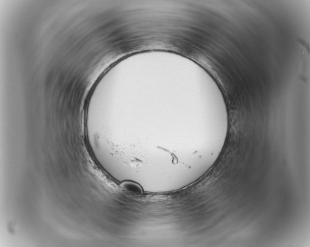 X0000102271140200808151858