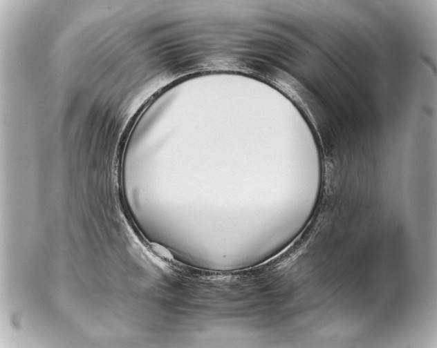 X0000102271141200808151858