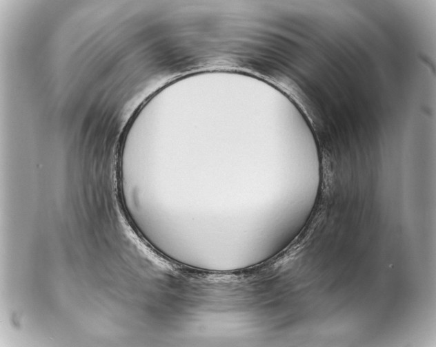 X0000102271142200808151858