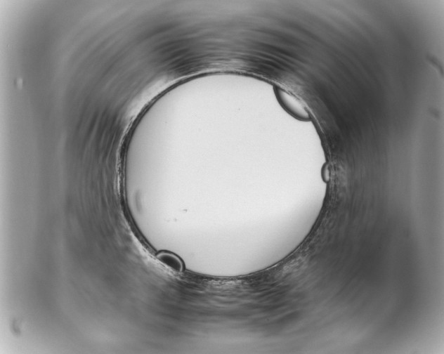 X0000102271143200808151858