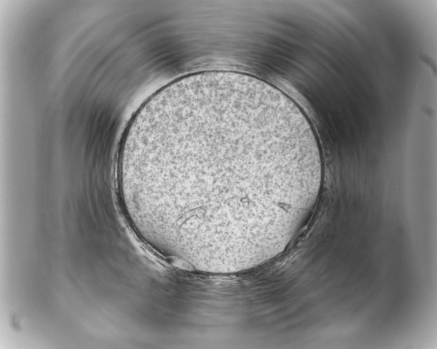 X0000102271144200808151858