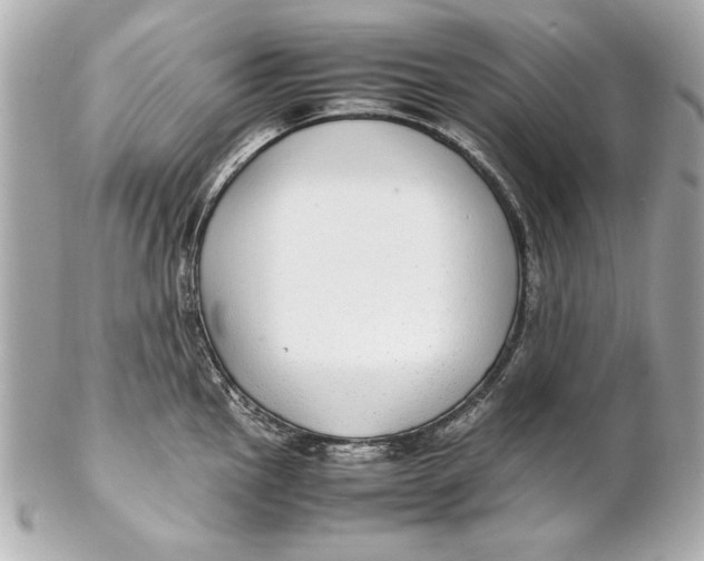 X0000102271145200808151858