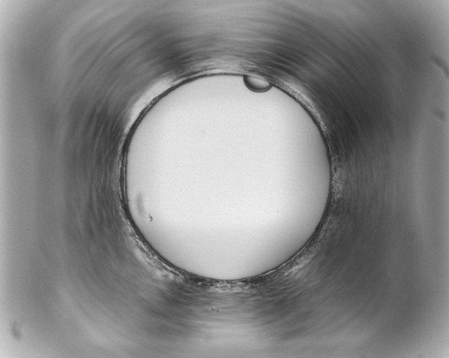 X0000102271146200808151858