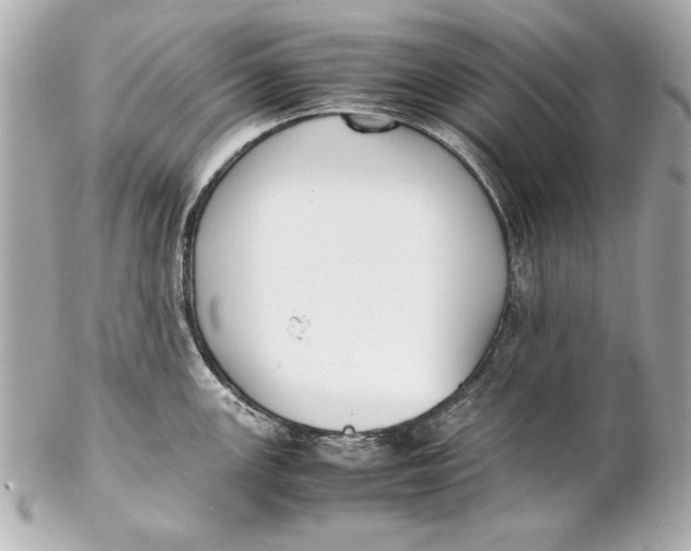 X0000102271147200808151858