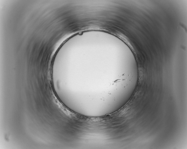 X0000102271148200808151858