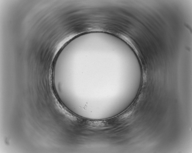 X0000102271149200808151858