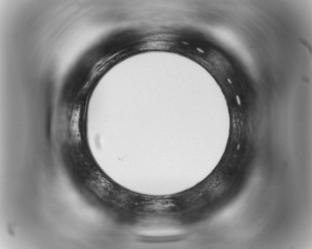 X0000102271150200808151858