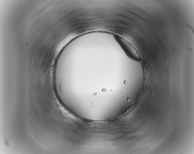 X0000102271151200808151858