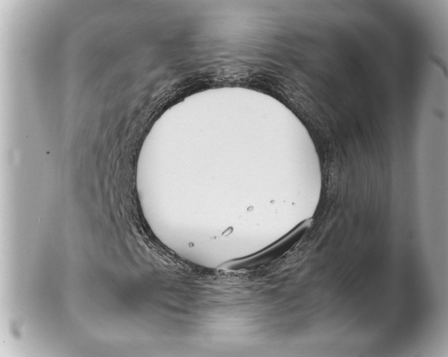 X0000102271153200808151858