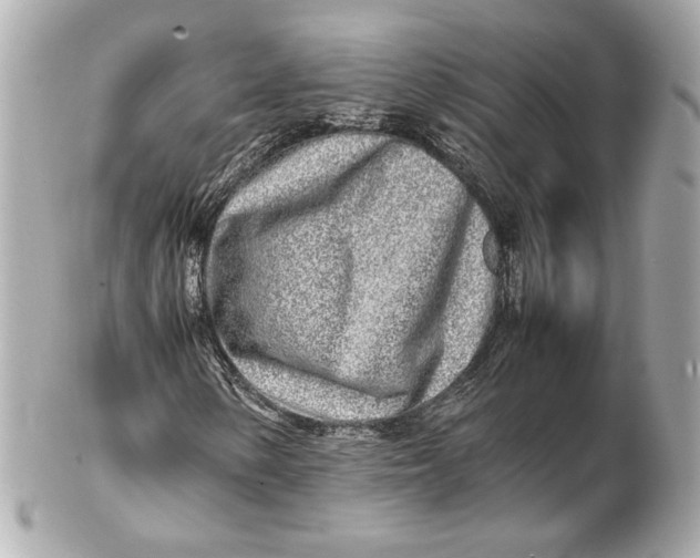 X0000102271154200808151858