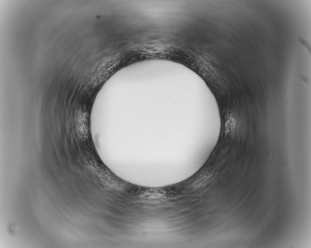 X0000102271156200808151858