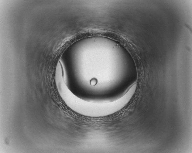 X0000102271157200808151858