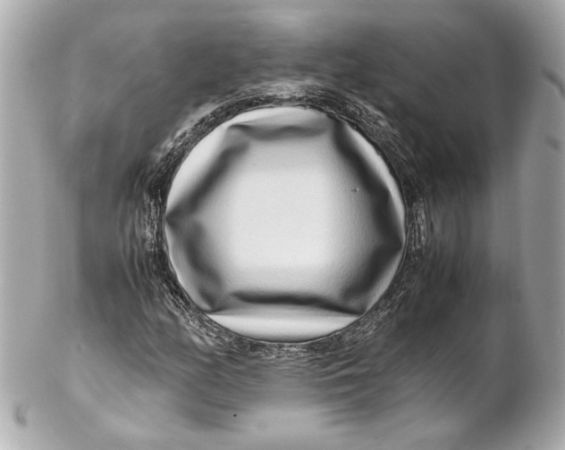 X0000102271158200808151858