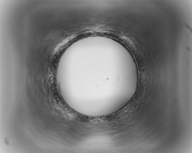 X0000102271159200808151858