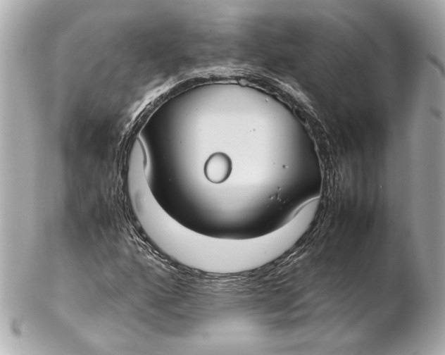 X0000102271160200808151858