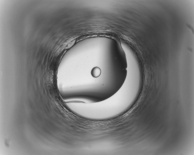 X0000102271161200808151858