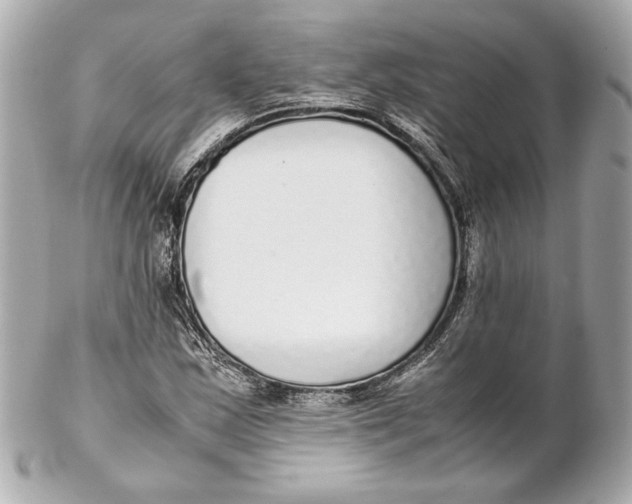 X0000102271163200808151858