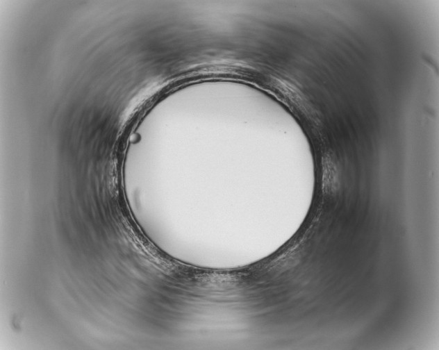 X0000102271164200808151857