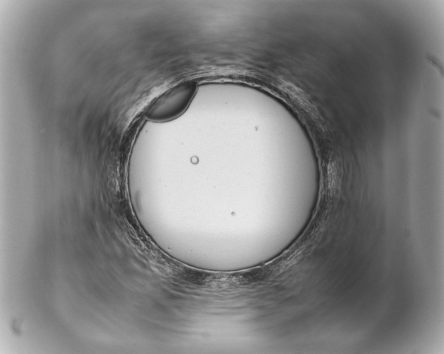 X0000102271165200808151857