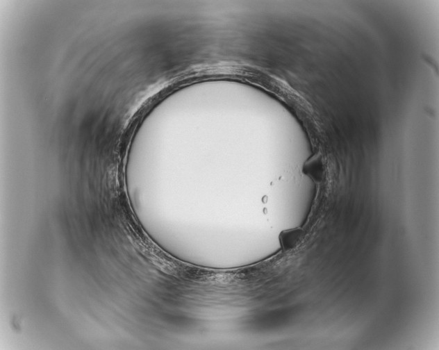 X0000102271166200808151857