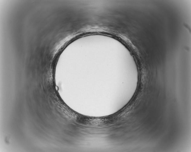 X0000102271167200808151857