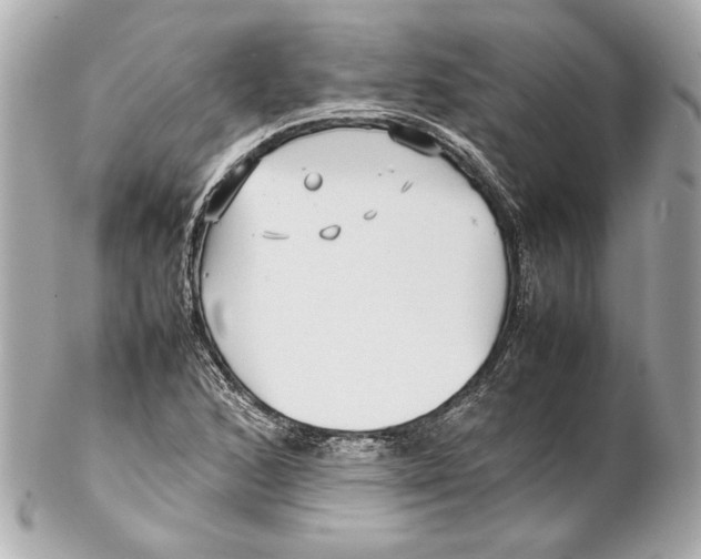 X0000102271168200808151857